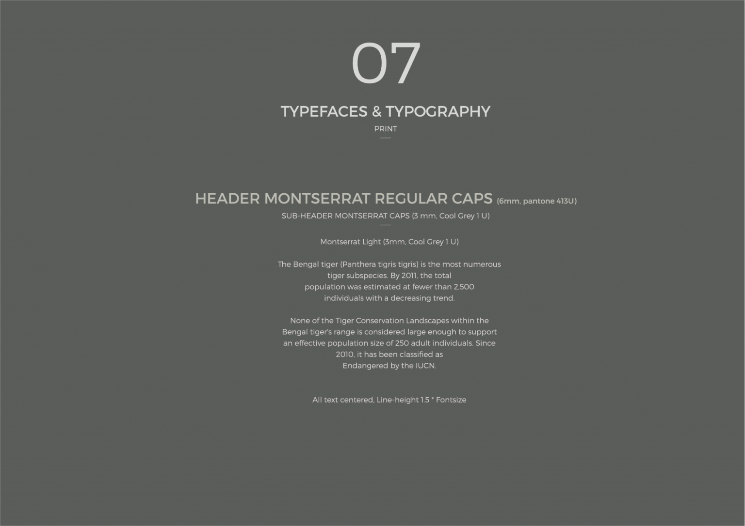 p08_BRANDBOOK-ILLUSTRATOR_FINAL_FLATTENED_07-Typeface-typography-1536x1086